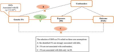 Is Hearing Impairment Causally Associated With Falls? Evidence From a Two-Sample Mendelian Randomization Study